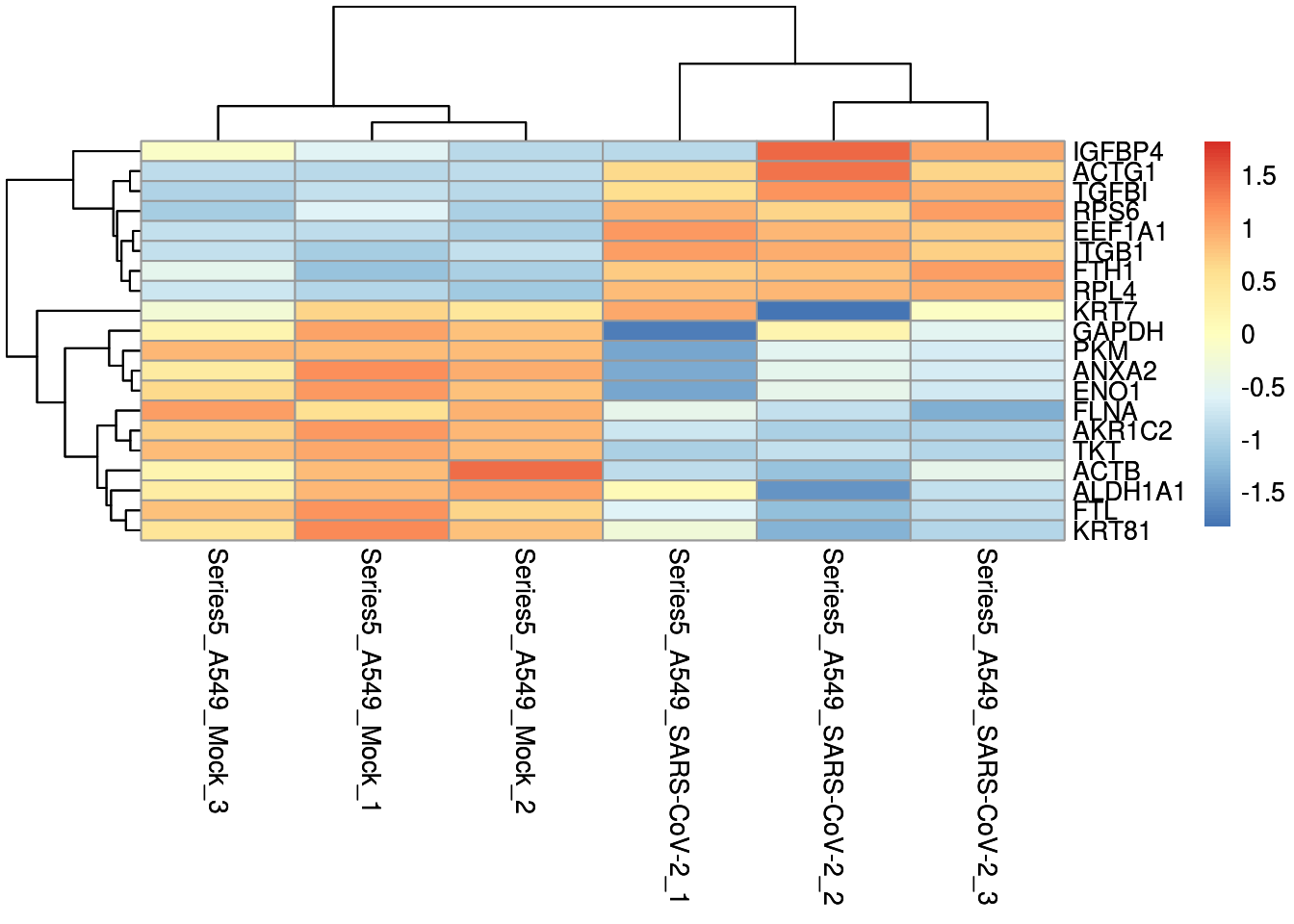 Heatmap clustering of top 20 of up and down regulated genes.