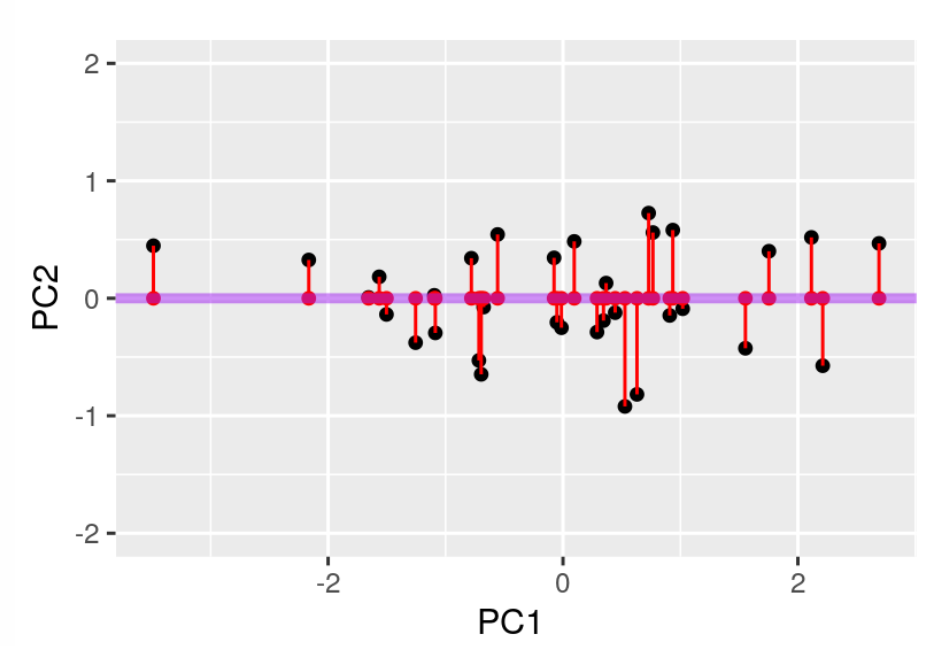 Figure 14: The line is rotated so the red dots represent the 2 dimensional data (x and y) in 1 dimension (x). Source: Modern Statistics for Modern Biology
